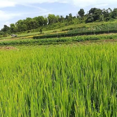 Hotel Shwe Nann Htike بيين لوين المظهر الخارجي الصورة