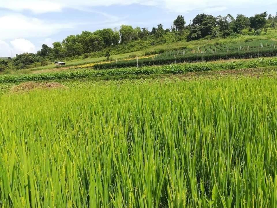 Hotel Shwe Nann Htike بيين لوين المظهر الخارجي الصورة