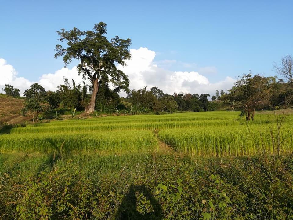 Hotel Shwe Nann Htike بيين لوين المظهر الخارجي الصورة