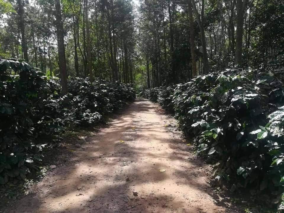 Hotel Shwe Nann Htike بيين لوين المظهر الخارجي الصورة