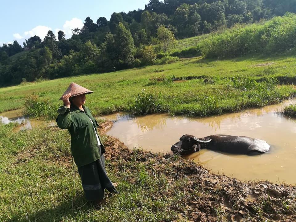 Hotel Shwe Nann Htike بيين لوين المظهر الخارجي الصورة